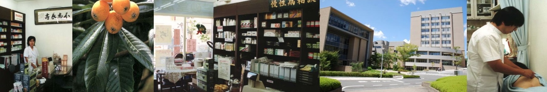 漢方薬、びわ温灸、美容鍼灸の三砂堂漢方